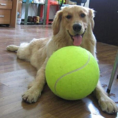 Jumbo Tennis Ball - Poppy Lee Lane