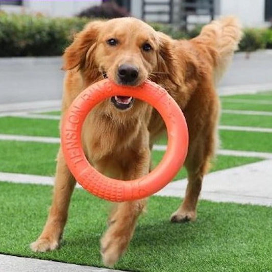 Dog Ring Toy - Poppy Lee Lane