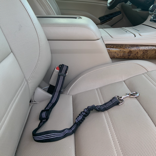 Car Elastic Safety Leash - Poppy Lee Lane